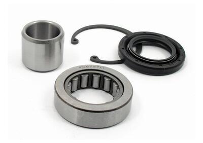 Kit cuscinetto, paraolio e seeger albero primaria All Balls - Annuncio 9873899