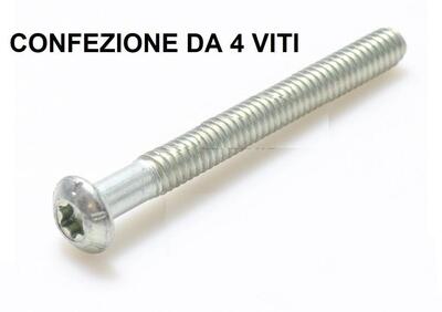 kit 4 viti parafango posteriore Softail Sport Glid  - Annuncio 9873903
