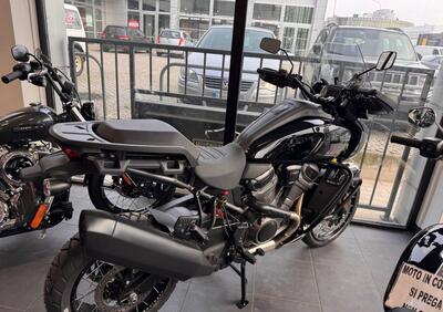 Harley-Davidson Pan America 1250 Special (2020 - 25) - Annuncio 9876980