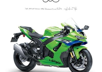 Kawasaki Ninja 1000 ZX-10R (2021 - 25) - Annuncio 9876982