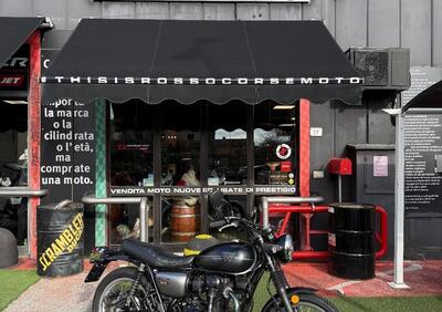 Kawasaki W 800 (2020) - Annuncio 8873398