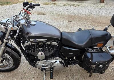 Harley-Davidson 1200 Custom ABS (2014 - 16) - XL 1200C - Annuncio 9877576