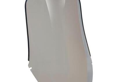 GIVI D205S Cupolino specifico fumè 54 x 38 cm - Annuncio 8886124