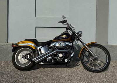 Harley-Davidson 1584 Custom (2008 - 09) - FXSTC - Annuncio 9877906