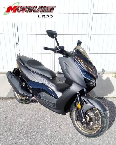 Zontes ZT368-D (2025 - 26) nuova