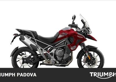 Triumph Tiger 1200 GT Pro (2024 - 25) - Annuncio 9877357