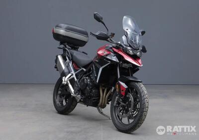 Triumph Tiger 900 GT (2024 - 25) - Annuncio 9515855