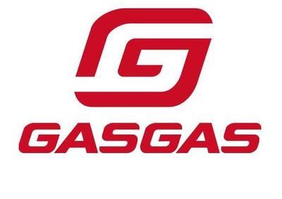 GASGAS EC 250 (2025) - Annuncio 9878913