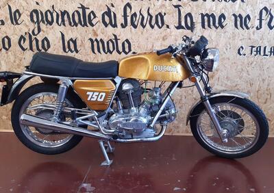 Ducati 750 GT  - Annuncio 9879841