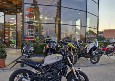 Benelli Leoncino 800 (2022 - 25) - Annuncio 9880289