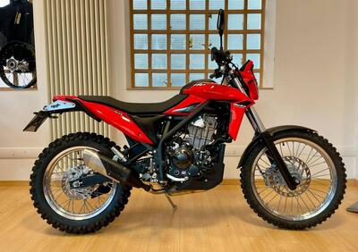 Betamotor Alp 4.0 (2024 - 25) - Annuncio 9880674