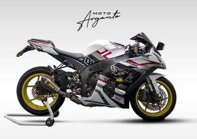 Kawasaki Ninja 1000 ZX-10R (2011 - 15) - Annuncio 9880797