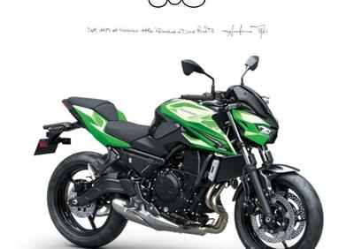 Kawasaki Z 650 S (2026) - Annuncio 9880802