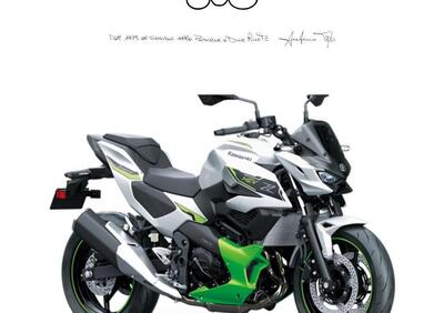 Kawasaki Z7 Hybrid (2024 - 25) - Annuncio 9881208