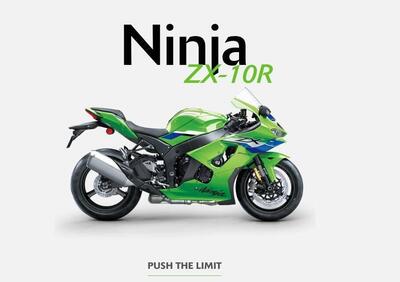 Kawasaki Ninja 1000 ZX-10R (2026) - Annuncio 9881328