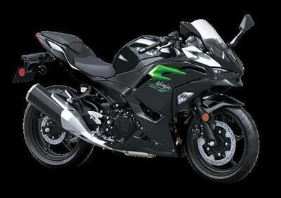 Kawasaki Ninja 500 (2024 - 26) - Annuncio 9746306