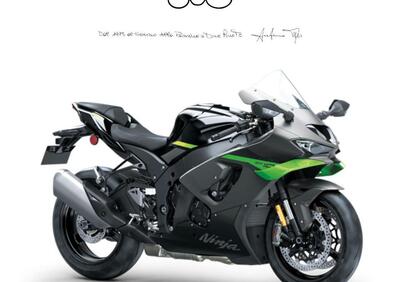 Kawasaki Ninja 1000 ZX-10R (2021 - 25) - Annuncio 9881620