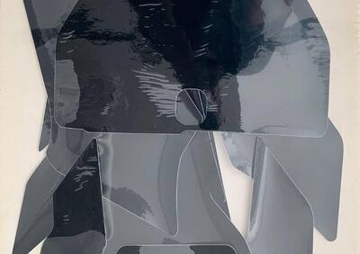 Grafiche portanumero Husqvarna Fs 450 (2019-2023) - Annuncio 9882326