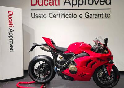 Ducati Panigale V4 (2022 - 24) - Annuncio 9883112