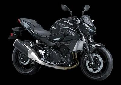 Kawasaki Z 500 (2024 - 26) - Annuncio 9885795