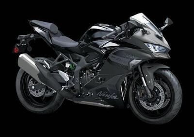 Kawasaki Ninja ZX-4RR (2024 - 26) - Annuncio 9885840