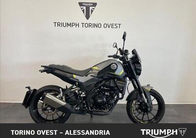 Benelli Leoncino 250 (2021 - 25) - Annuncio 9881781