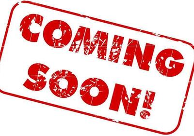 Ducati Multistrada 1100 (2006 - 09) - Annuncio 9887553