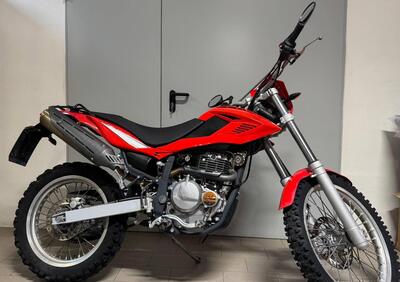 Betamotor Alp 4.0 (2008 - 17) - Annuncio 9887927