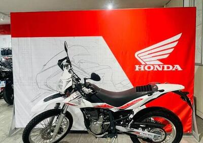 Betamotor Alp 4.0 (2008 - 17) - Annuncio 9888862