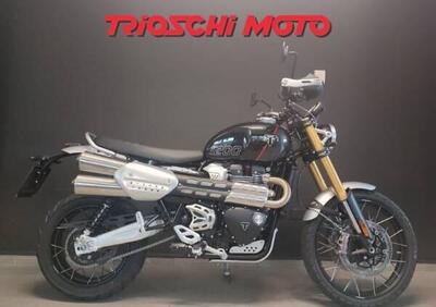 Triumph Scrambler 1200 XE (2024 - 25) - Annuncio 9890447