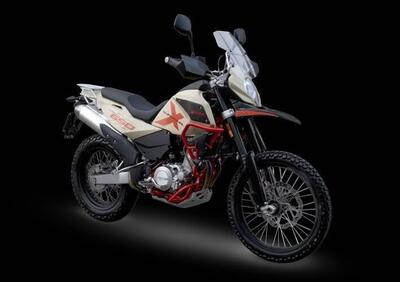 Swm Superdual 600 X (2025 - 26) - Annuncio 9890465