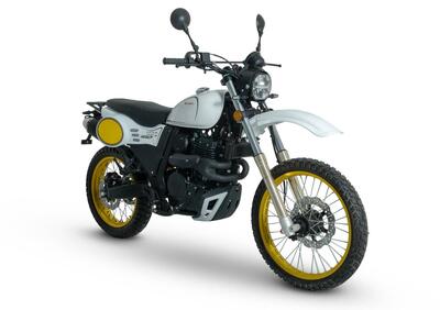 Swm Silver Vase 650 T (2025 - 26) - Annuncio 9890530