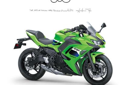 Kawasaki Ninja 650 (2021 - 24) - Annuncio 9891656