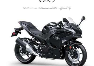 Kawasaki Ninja 500 (2024 - 26) - Annuncio 9891657