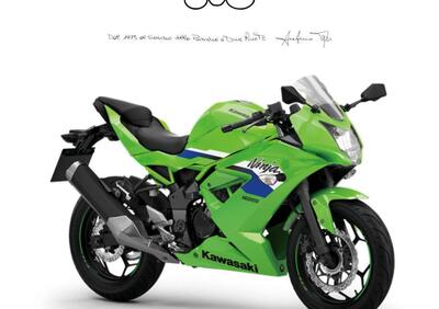Kawasaki Ninja 125 (2025 - 26) - Annuncio 9891658