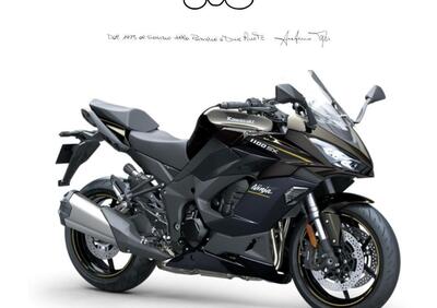 Kawasaki Ninja 1100 SX (2025 - 26) - Annuncio 9891659