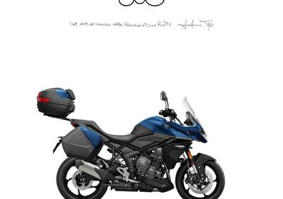 Triumph Tiger 800 (2010 - 14) - Annuncio 9892801