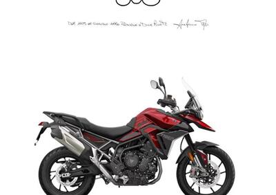 Triumph Tiger 900 GT (2024 - 25) - Annuncio 9893535