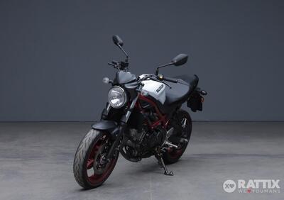 Suzuki SV650 (2021 - 24) - Annuncio 9876608