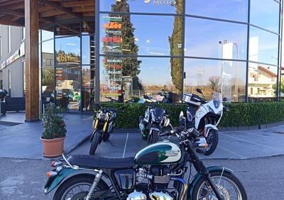 Triumph Bonneville T100 (2008 - 16) - Annuncio 9895729