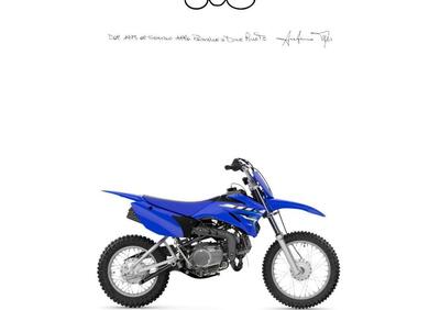 Yamaha TT-R 110 (2023) - Annuncio 9880031