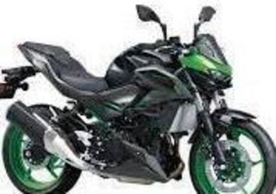 Kawasaki Z 500 SE (2024 - 26) - Annuncio 9896579