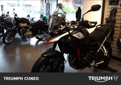 Triumph Tiger 900 GT (2024 - 25) - Annuncio 9603654