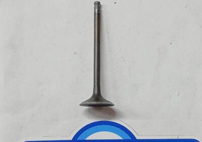 120041062 VALVOLA ASPIRAZIONE ZX900 Kawasaki - Annuncio 9896768