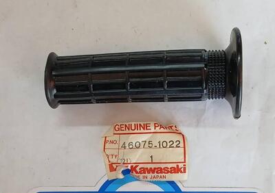 460751022 MANOPOLA KAWASAKI - Annuncio 9899039