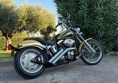 Harley-Davidson 1584 Custom (2008 - 09) - FXSTC - Annuncio 9877906