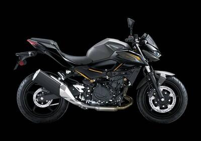Kawasaki Z 500 (2024 - 26) - Annuncio 9900568