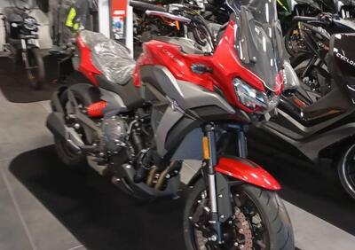 Cyclone RX650 (2025 - 26) - Annuncio 9900600