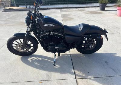 Harley-Davidson 883 Iron (2014 - 16) - XL 883N - Annuncio 9902156