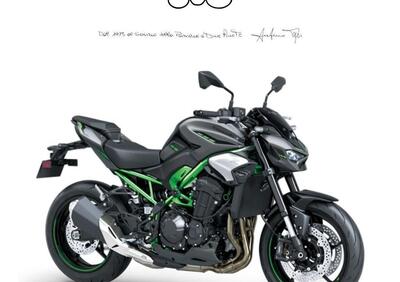 Kawasaki Z 900 A2 (2025 - 26) - Annuncio 9629222